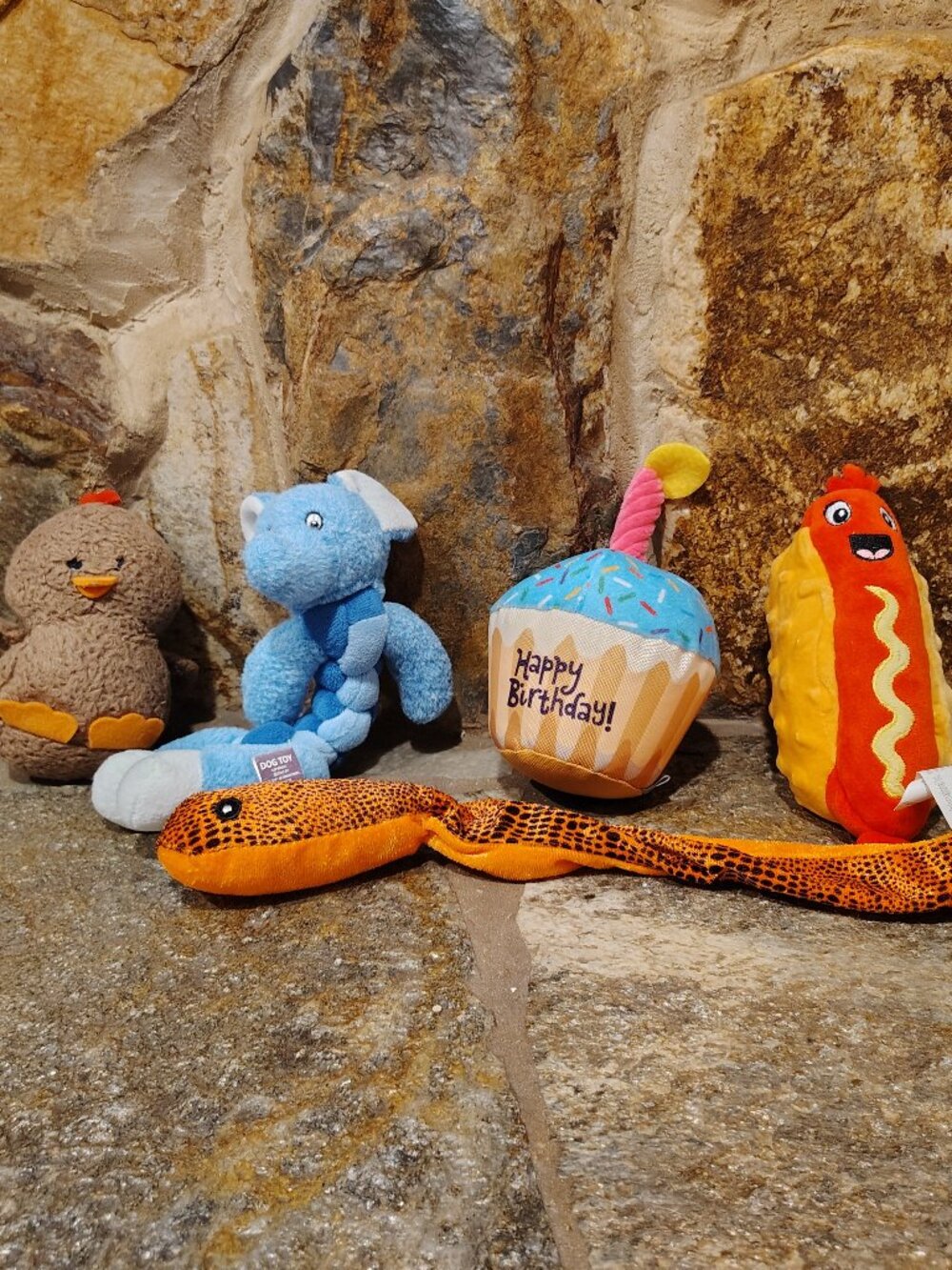 Bundle Lot of 5 Dog Toys Plush Frisco Happy Birthday Snake Cupcake Hot Dog